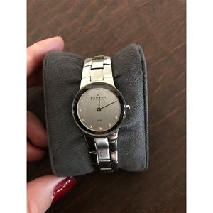 Skagen Stainless Steel & Diamonds Classic Watch